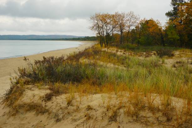 dune dell'orso addormentato national lakeshore michigan - leelanau county foto e immagini stock