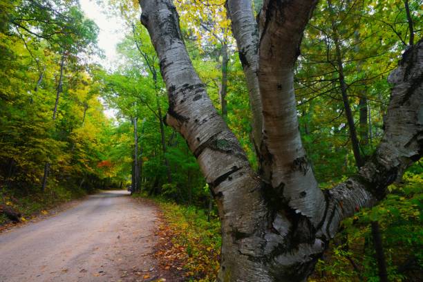 スリーピングベア砂丘国立湖岸、ミシガン州 - leelanau county ストックフォトと画像