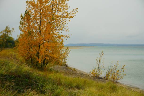 дюны спящего медведя, национальный берег озера, мичиган - leelanau county стоковые фото и изображения