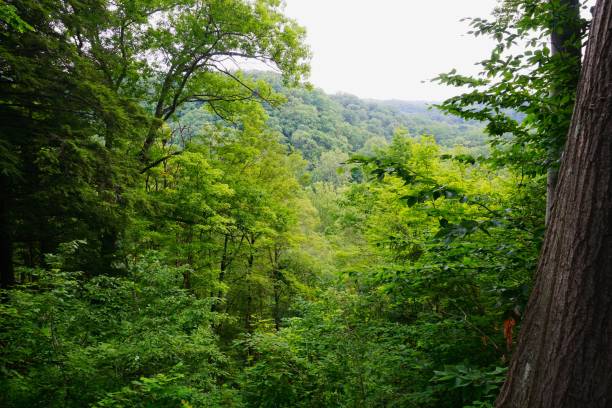istock Cuyahoga Valley National Park Ohio 1760417362
