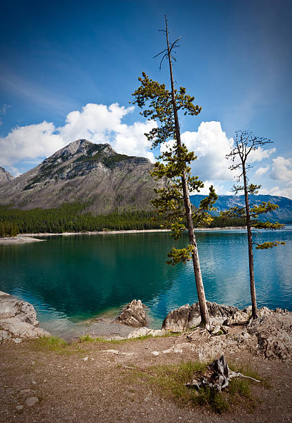 istock Lake in the Rocky Mountains 176041985