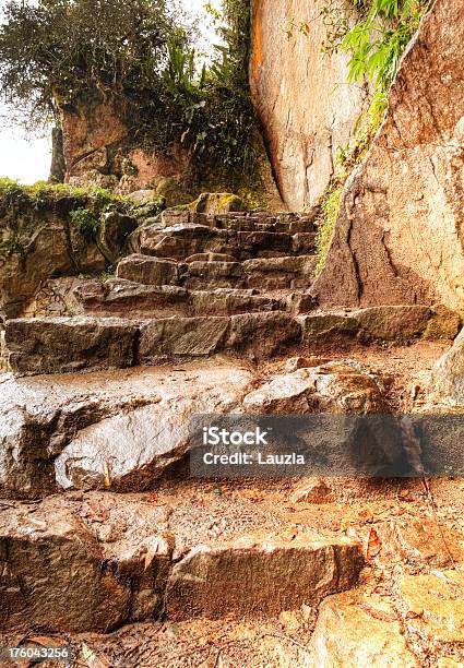 Peruanische Treppe Stockfoto und mehr Bilder von Alt - Alt, Architektur, Baum