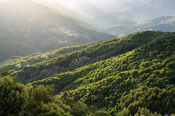 バックライト緑の山々 - ardeche france landscape nature ストックフォトと画像