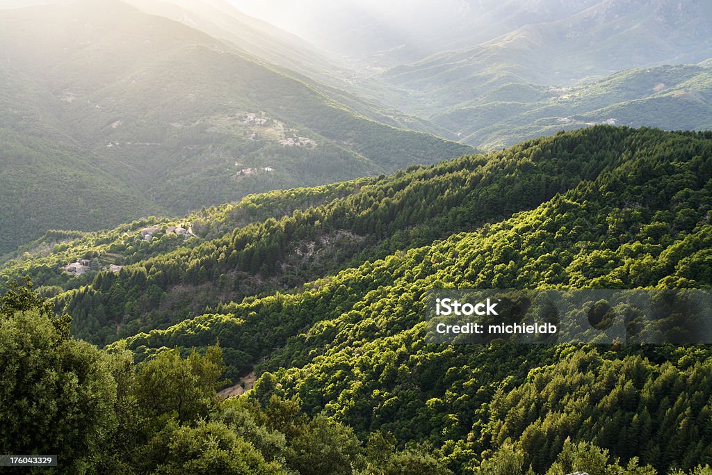 Back lit forested mountains "Back lit forested mountains in the Ardeche, France." Ardeche Stock Photo