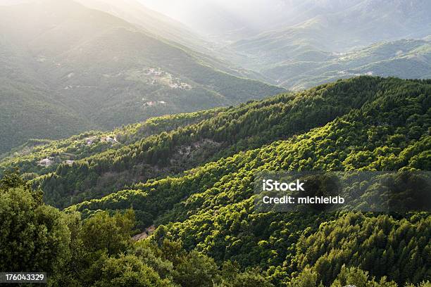 Back Lit Forested Mountains Stock Photo - Download Image Now - Ardeche, Forest, Mountain