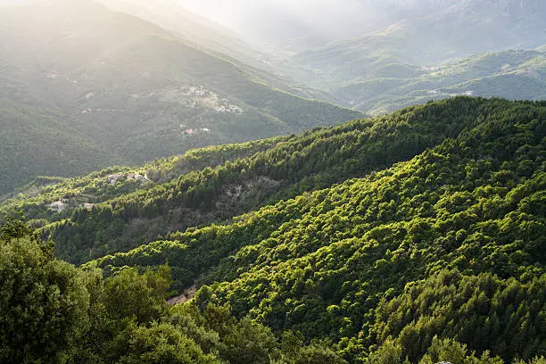 "Back lit forested mountains in the Ardeche, France."