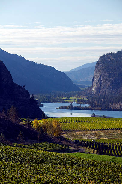 istock okanagan valley vineyards  penticton british columbia 176043480