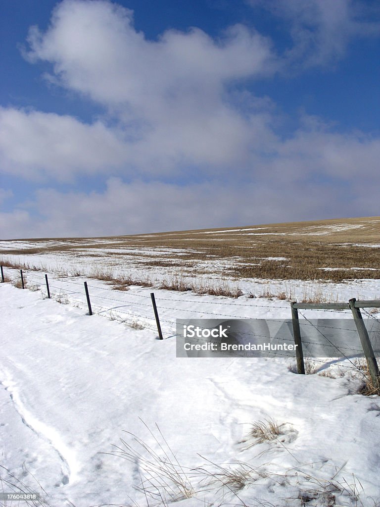 Blue Sky Prairie Clouds roil in the blue sky above the Southern Alberta Prairie. Agricultural Field Stock Photo