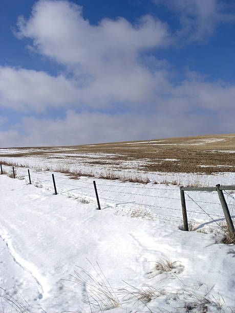 céu azul prairie - alberta prairie farm fence - fotografias e filmes do acervo