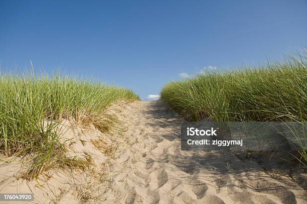 Ścieżka Do Plaży Przez Sand Dunes - zdjęcia stockowe i więcej obrazów Stan Michigan - Stan Michigan, Wydma, Jezioro Michigan