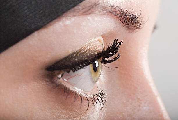 istock Green Eyes: Beautiful women wearing a Hijab 176043984
