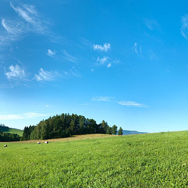 istock Square spring landscape 41MPix XXXXL - meadow, blue sky 176044621