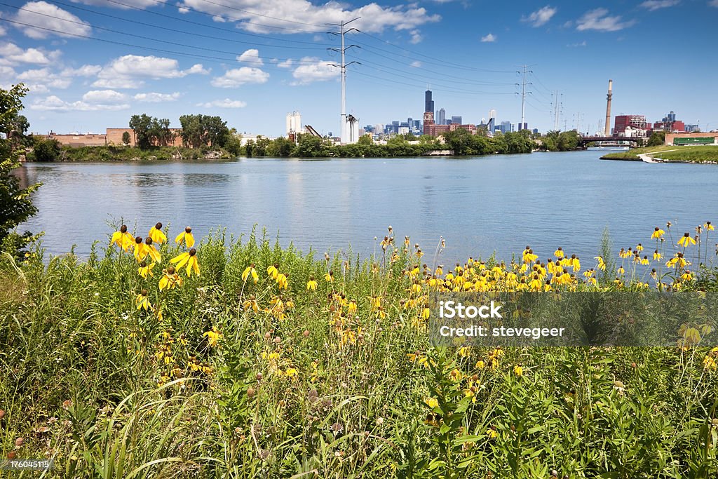 Chicago, River et fleurs de Prairie - Photo de Chicago - Illinois libre de droits