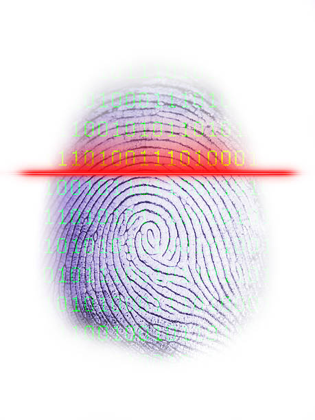 Digital Fingerprint Scanner on White stock photo