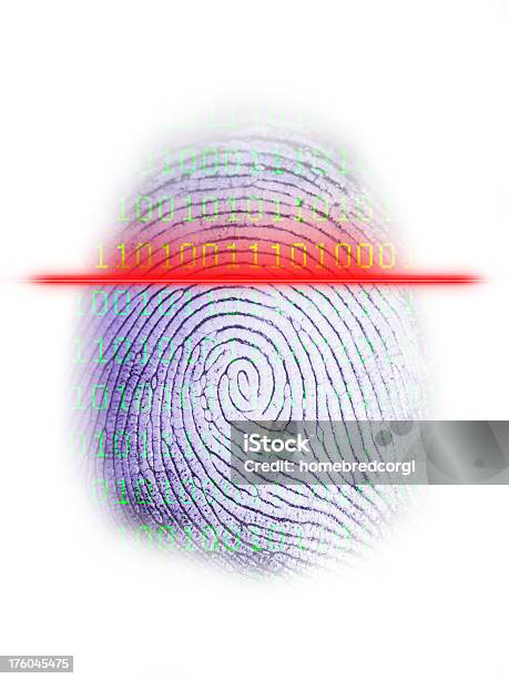 Цифровой Сканер Отпечатков Пальцев На Белом — стоковые фотографии и другие картинки Криминалистика - Криминалистика, Технология, Цифровой экран