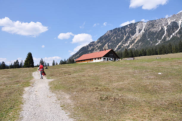 istock Hiking in the Alps 176045540