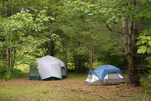 istock Outdoors camping two tents in woods 176045734