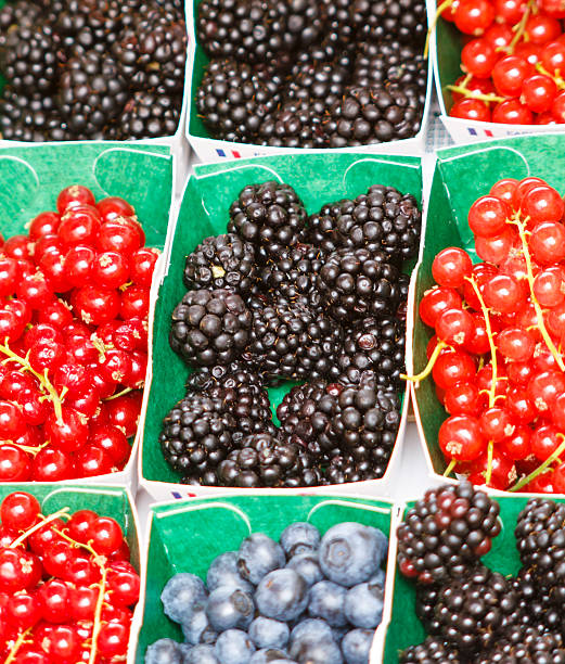 istock Variety of berries 176046135