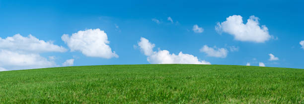 istock Panoramic spring landscape 77MPix XXXXL size - meadow, blue sky 176046409
