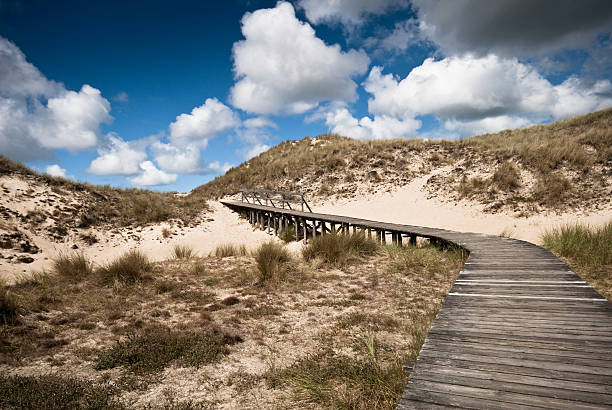 istock Way through the dunes with a huge sky 176047345