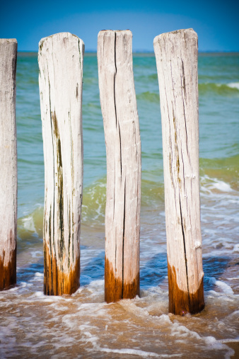 A detail of wooden poles at the beach. North Sea.Similar images: