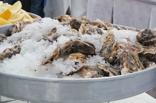 Bivalve fresh raw oysters in bucket with crushed ice and slices of lemon at seafood restaurant. Gourmet appetizer. Luxury dish for party. French cuisine at local market. Street food festival