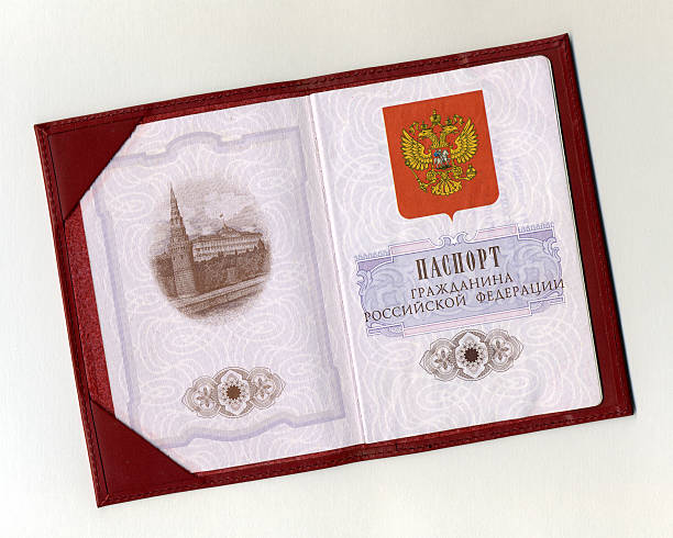 The passport (2009) stock photo