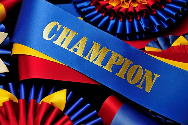 Photo of Champion Ribbon Award with Rosettes