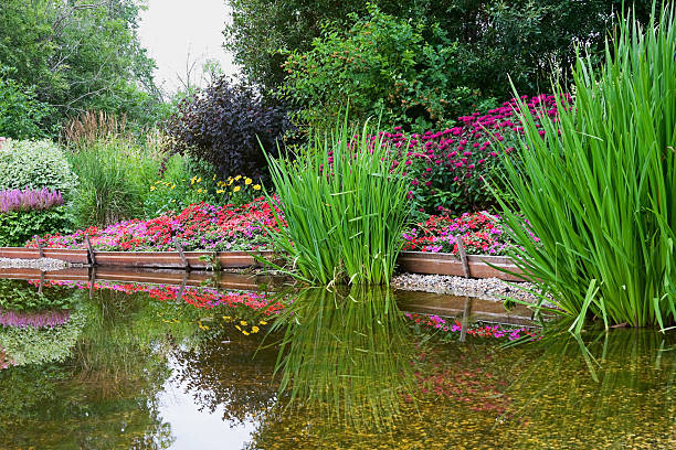 istock Landscaped Water Garden 176048611