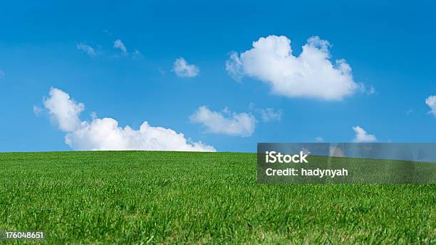 Panorama Frühling Landschaft 46mpix Xxxxl Größewiese Blauer Himmel Stockfoto und mehr Bilder von Abgeschiedenheit