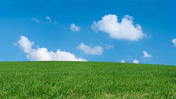istock Panoramic spring landscape 46MPix XXXXL size - meadow, blue sky 176048651