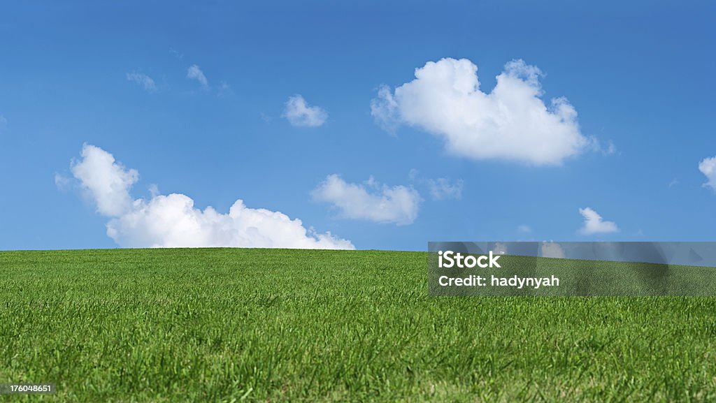 Primavera paisagem panorâmica 46MPix XXXXL tamanho-meadow, céu azul - Foto de stock de Ajardinado royalty-free