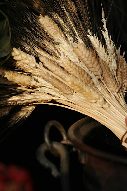 istock Golden Wheat Shafts in Old Iron Cauldron 176048694