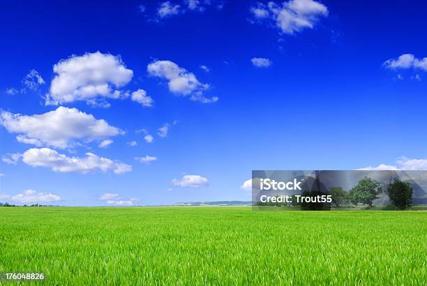 Pole Błękitne Niebo I Białe Chmury - zdjęcia stockowe i więcej obrazów Bez ludzi - Bez ludzi, Biały, Chmura