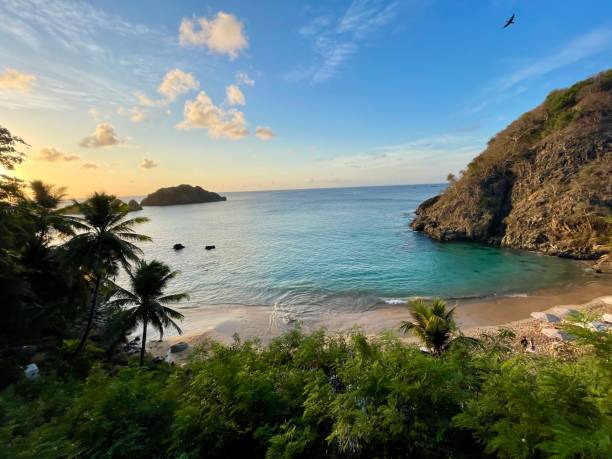 Fernando Noronha beach in Bresil