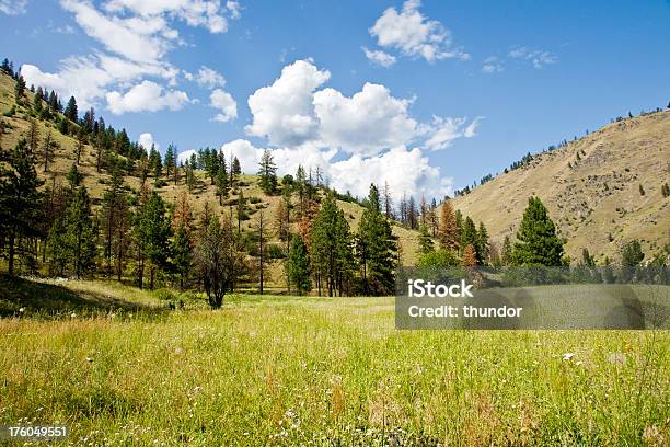 Mountain Meadow Stock Photo - Download Image Now - Beauty, Beauty In Nature, Blue