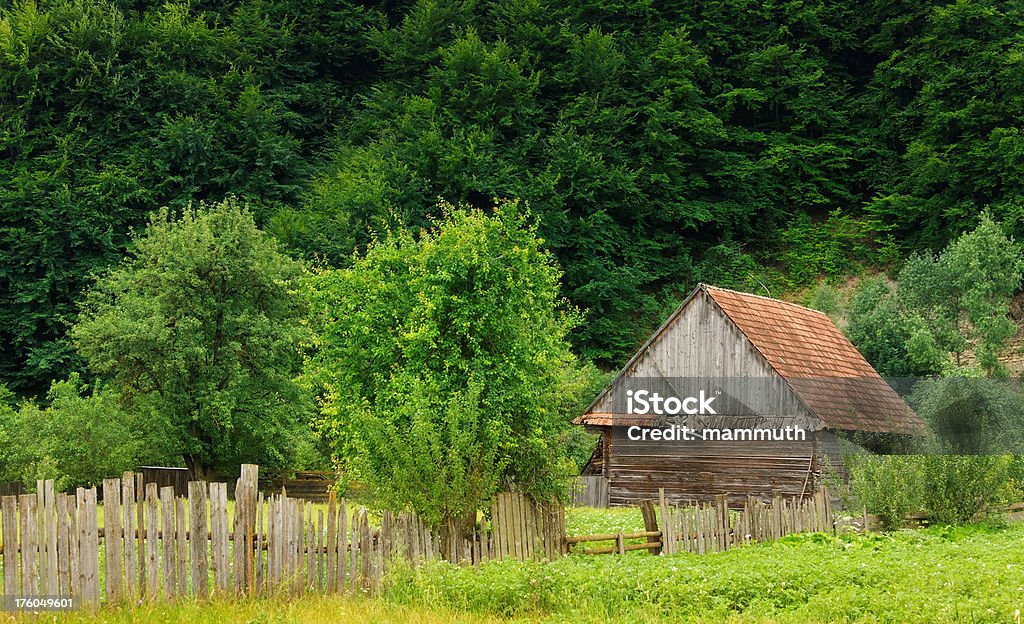 Granja de madera en el bosque - Foto de stock de Agricultura libre de derechos