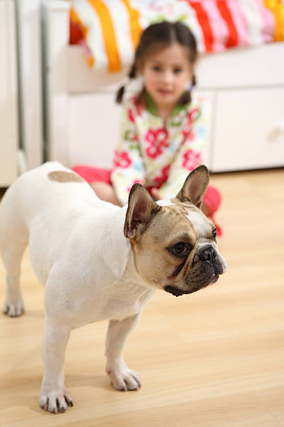istock Girl with favorite pet 176049752
