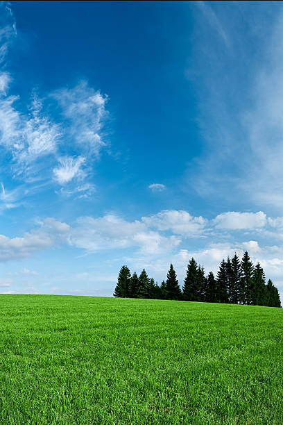 istock Panoramic spring landscape 35MPix XXXXL size - meadow, blue sky 176049950