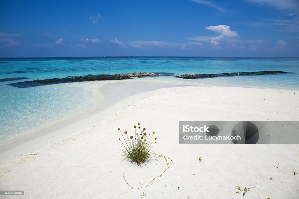 Weisser Strand Mit Türkisblauem Wasser - Lizenzfrei Ari-Atoll Stock-Foto