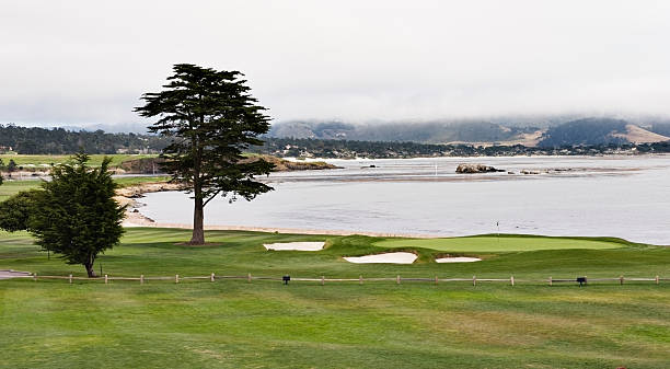 campo de golfe de pebble beach - pebble beach california golf golf course carmel california - fotografias e filmes do acervo