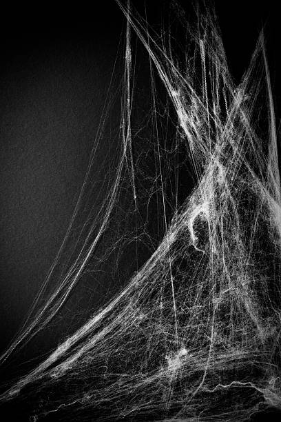 old scary background halloween background with faux cobwebs. spider web photos stock pictures, royalty-free photos & images