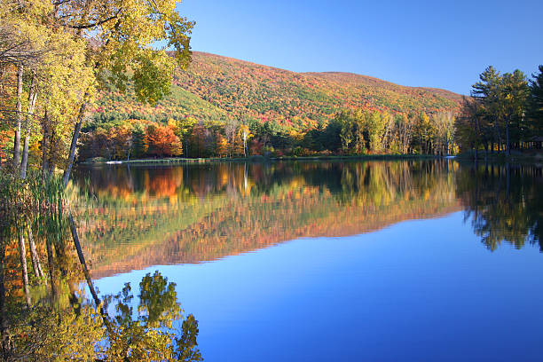 istock Beautiful Autumn Foliage 176050825