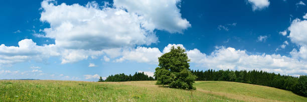 istock Panoramic spring landscape 62MPix XXXXL size - highlands, blue sky 176050832