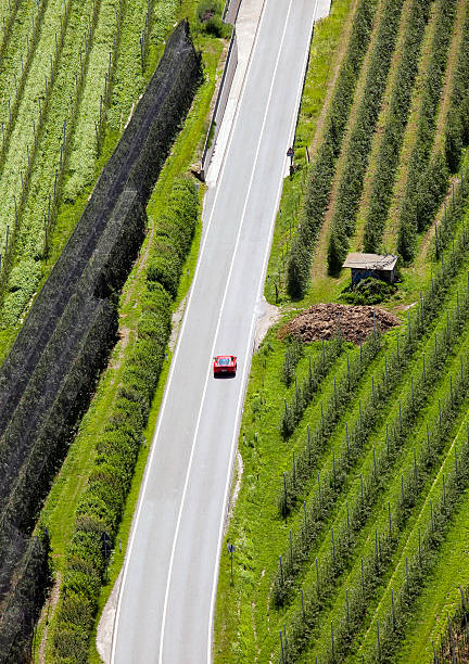 istock Journey with the car into nature 176051046