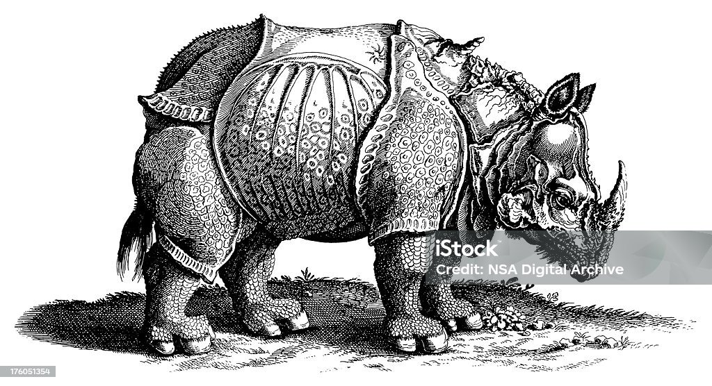 Durer de rinoceronte/antigüedades de ilustraciones de animales - Ilustración de stock de Alberto Durero libre de derechos