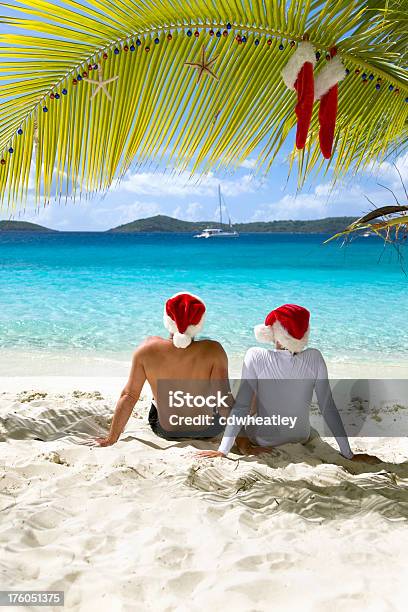 Buon Natale Dai Caraibi - Fotografie stock e altre immagini di Natale - Natale, Caraibi, Palma