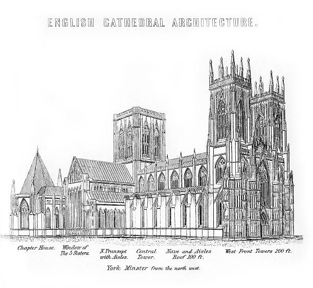 york minster - nave stock illustrations