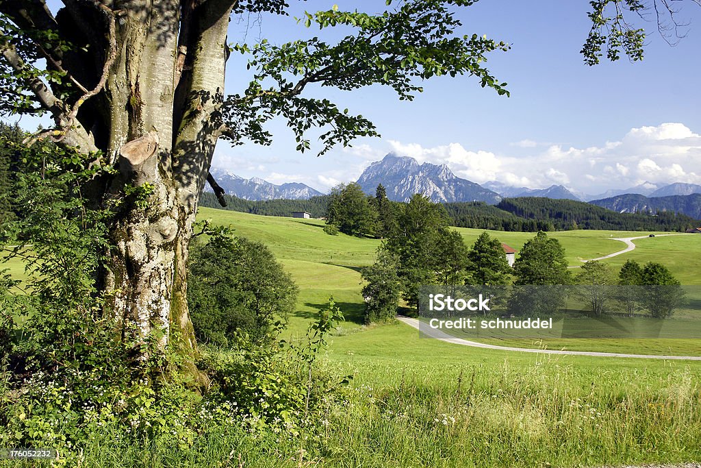 Paysage de montagne par Hopfensee - Photo de Allemagne libre de droits