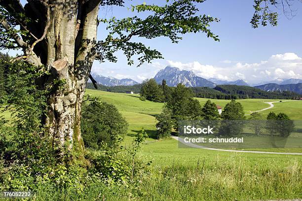 Góra Krajobraz Przez Hopfensee - zdjęcia stockowe i więcej obrazów Allgäu - Allgäu, Bez ludzi, Drzewo